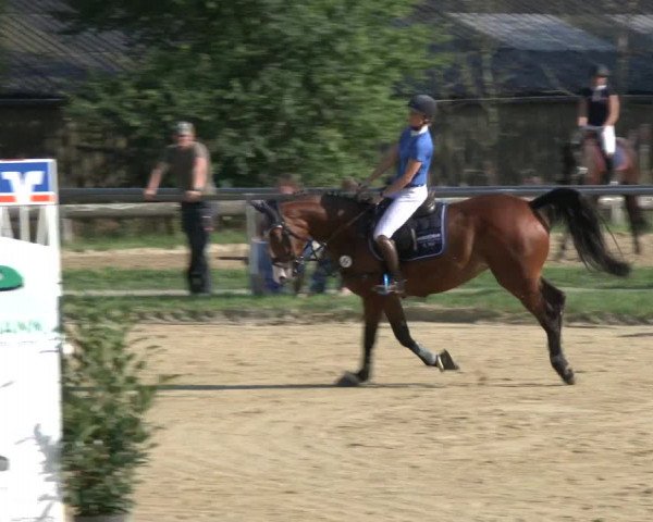 Reitturnier Bühren-Breckerfeld 2019