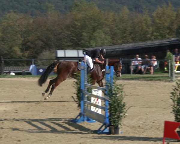 Reitturnier Bühren-Breckerfeld 2019
