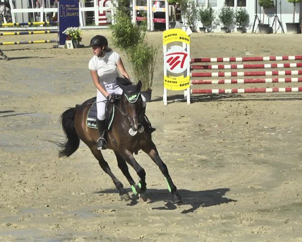 Reitturnier Hauerz 2019