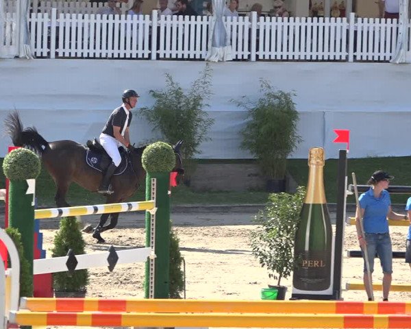 Reitturnier Humlikon 2019