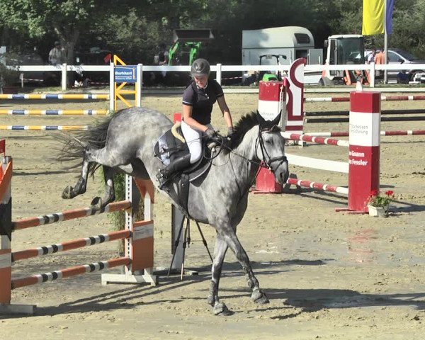 Reitturnier Hauerz 2019