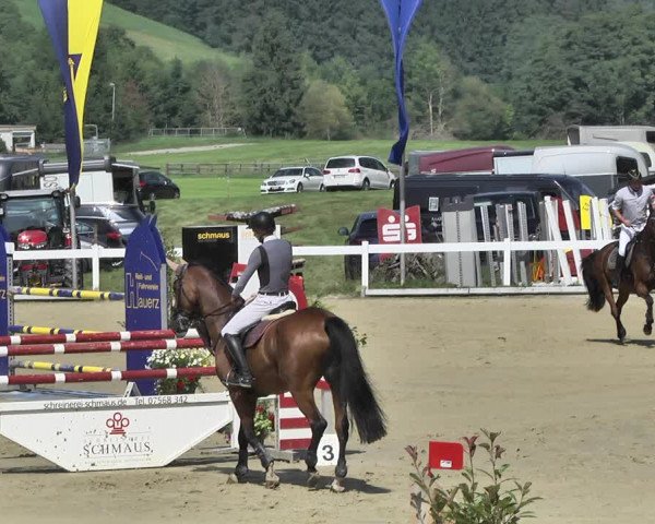 Reitturnier Hauerz 2019