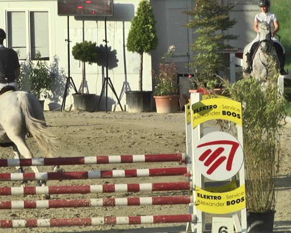 Reitturnier Hauerz 2019