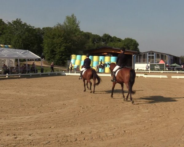 Reitturnier Bühren-Breckerfeld 2019