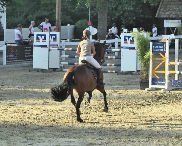 Reitturnier Hauerz 2019