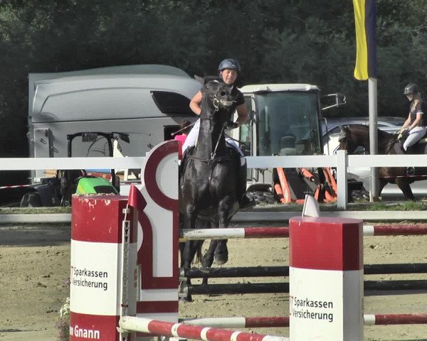 Reitturnier Hauerz 2019