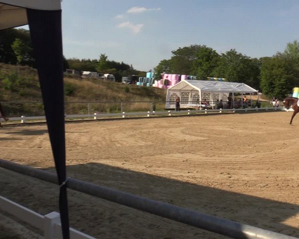 Reitturnier Bühren-Breckerfeld 2019