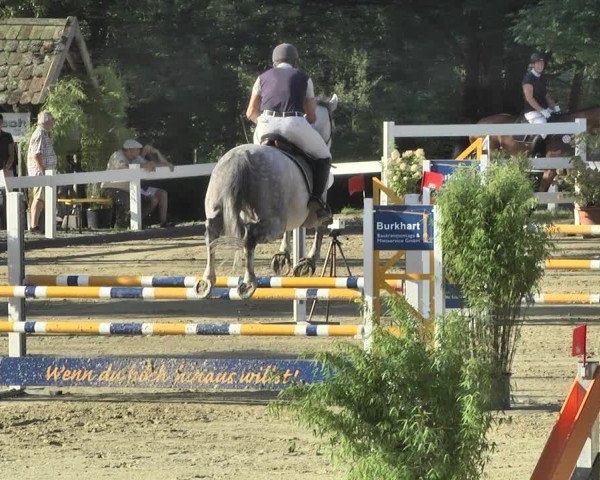 Reitturnier Hauerz 2019