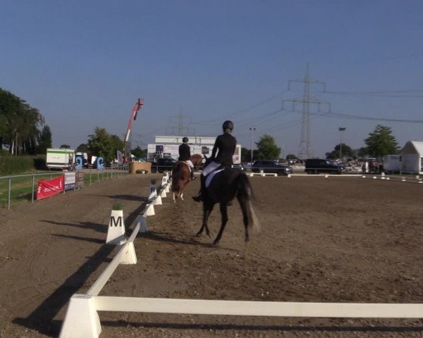Reitturnier Heinsberg 2019