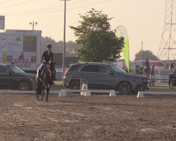 Reitturnier Heinsberg 2019