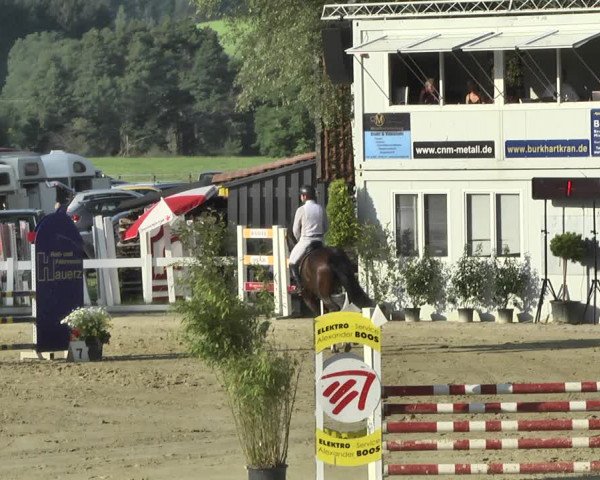 Reitturnier Hauerz 2019