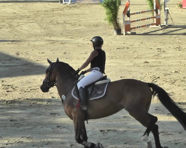 Reitturnier Hauerz 2019