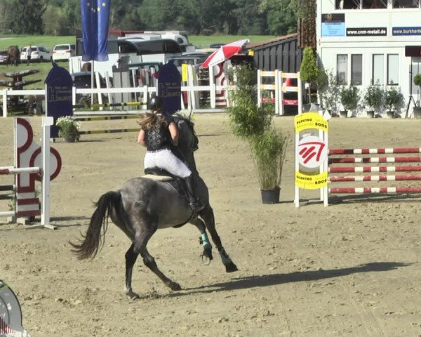 Reitturnier Hauerz 2019
