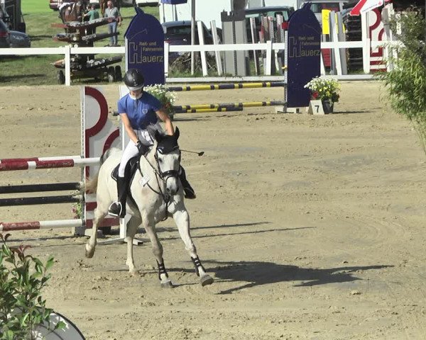 Reitturnier Hauerz 2019