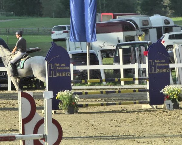 Reitturnier Hauerz 2019