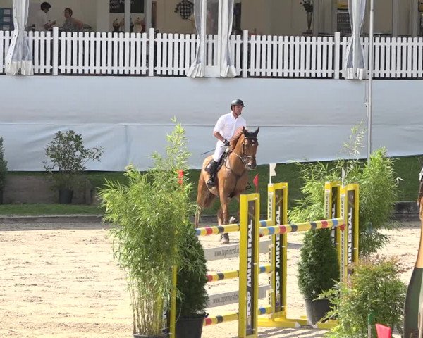 Reitturnier Humlikon 2019