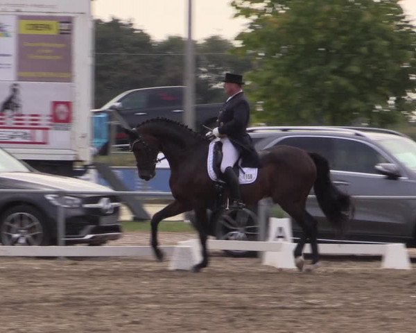 Reitturnier Heinsberg 2019