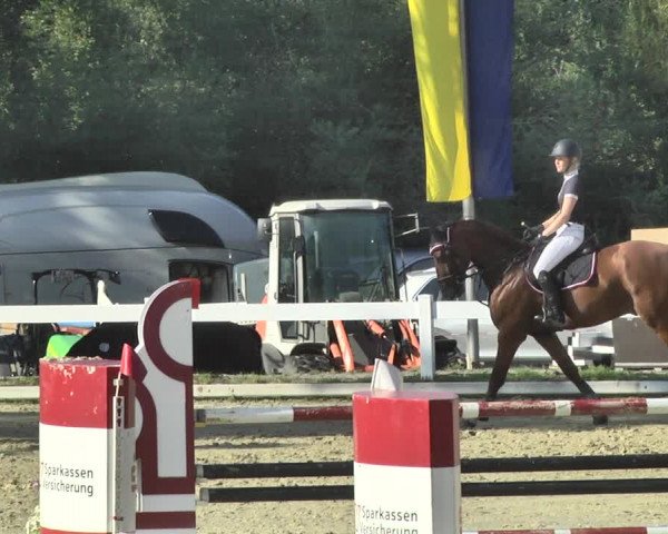 Reitturnier Hauerz 2019