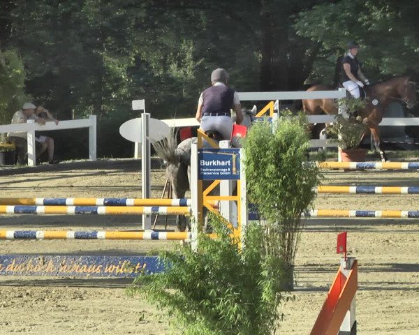 Reitturnier Hauerz 2019