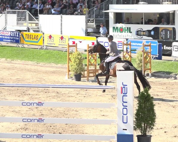 Reitturnier Humlikon 2019