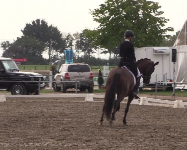 Reitturnier Heinsberg 2019