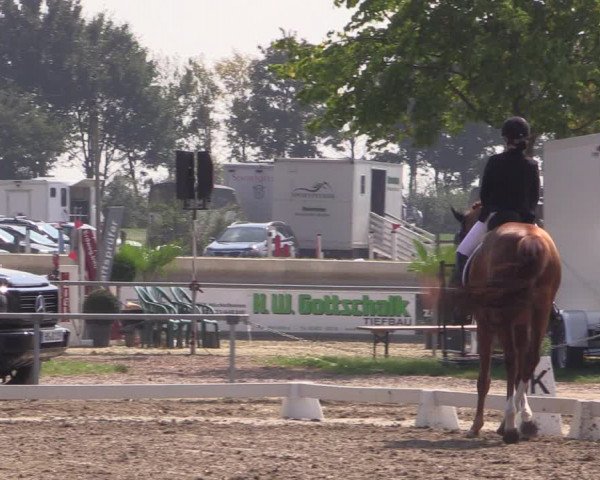 Reitturnier Heinsberg 2019