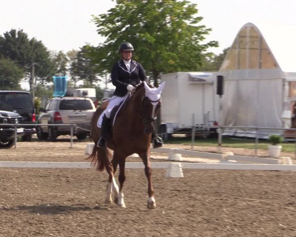Reitturnier Heinsberg 2019