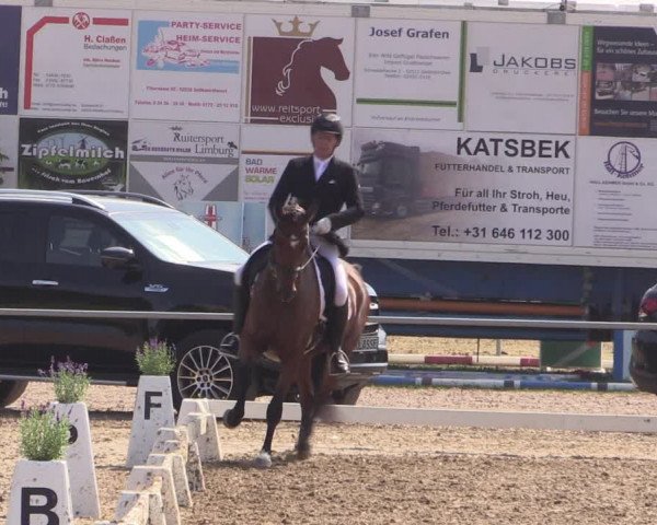 Reitturnier Heinsberg 2019