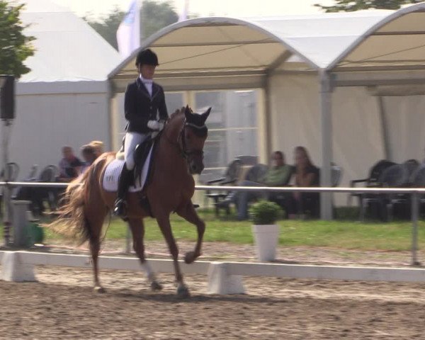Reitturnier Heinsberg 2019