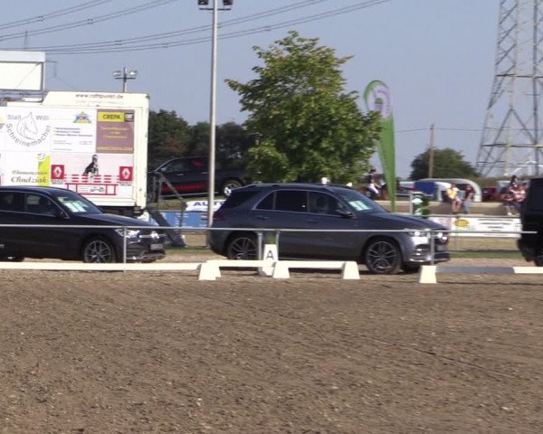 Reitturnier Heinsberg 2019