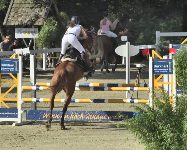 Reitturnier Hauerz 2019
