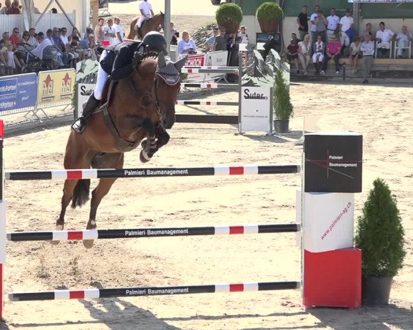 Reitturnier Humlikon 2019