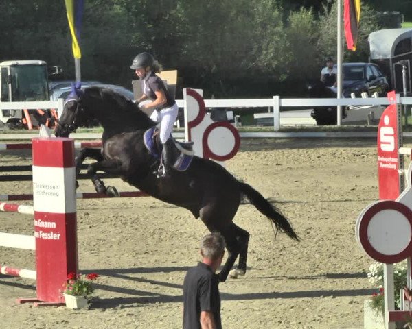 Reitturnier Hauerz 2019