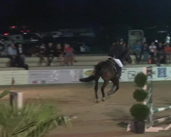Reitturnier Heinsberg 2019