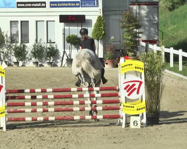 Reitturnier Hauerz 2019