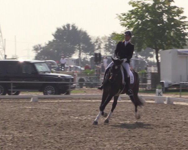 Reitturnier Heinsberg 2019