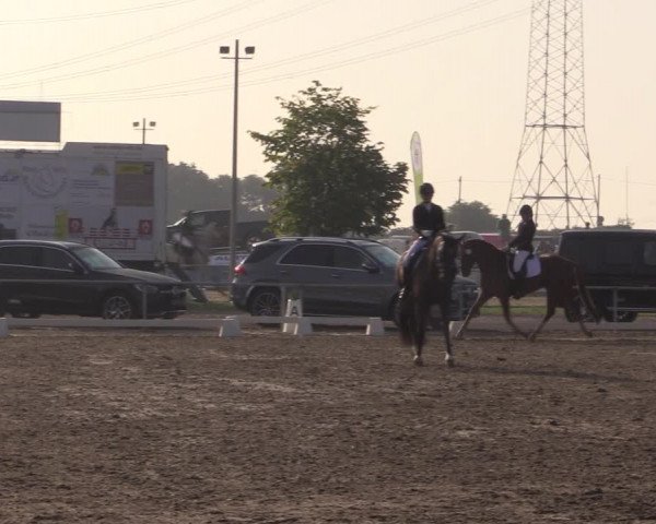 Reitturnier Heinsberg 2019