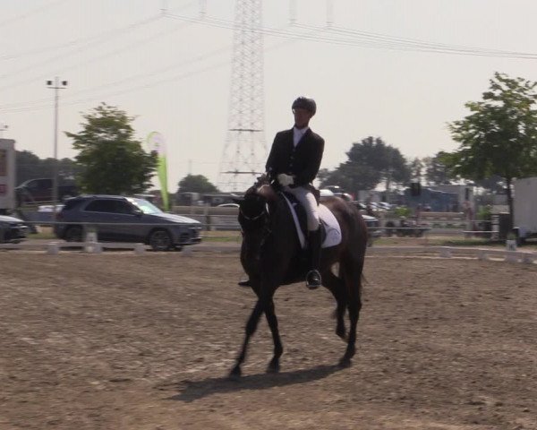 Reitturnier Heinsberg 2019