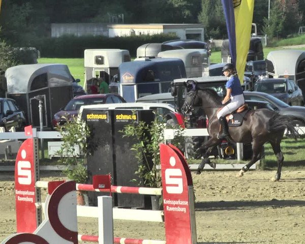 Reitturnier Hauerz 2019