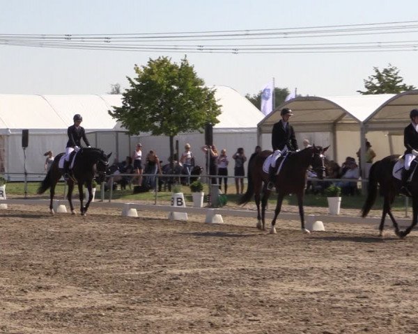 Reitturnier Heinsberg 2019