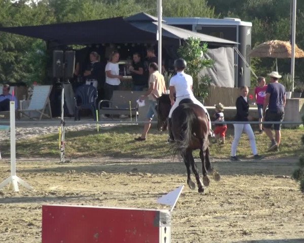 Reitturnier Heinsberg 2019