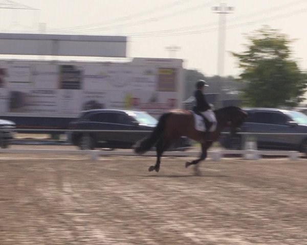 Reitturnier Heinsberg 2019