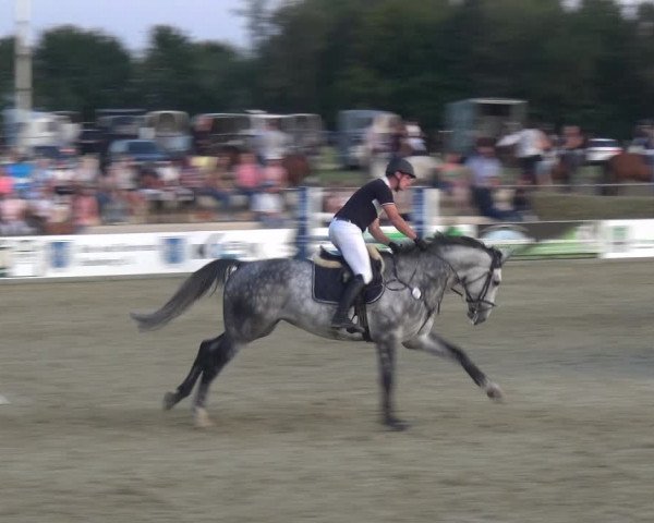 Reitturnier Heinsberg 2019