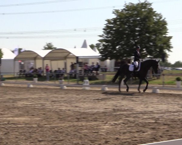 Reitturnier Heinsberg 2019