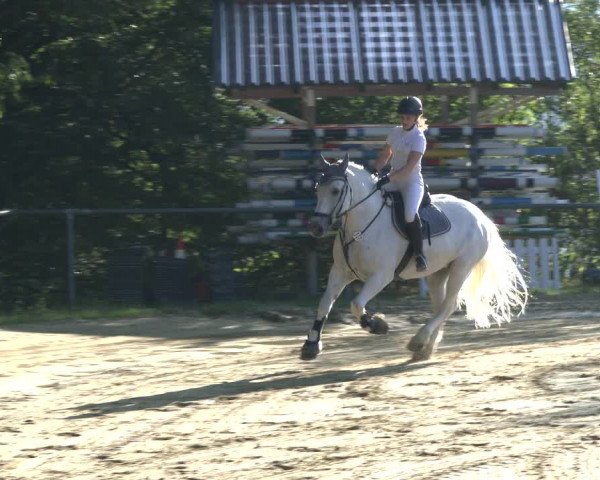 Reitturnier Bühren-Breckerfeld 2019