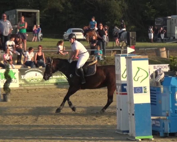 Reitturnier Heinsberg 2019