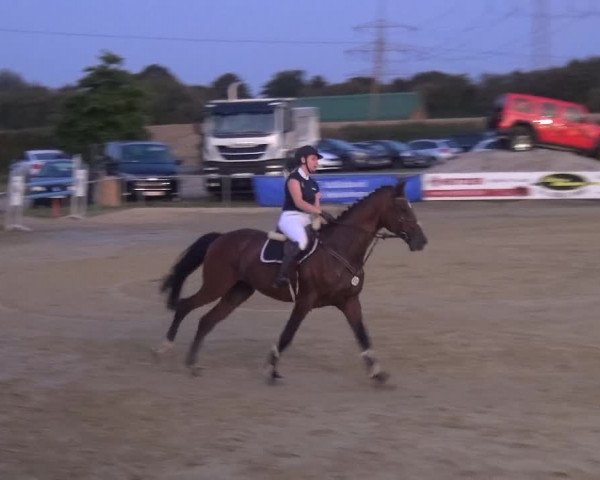 Reitturnier Heinsberg 2019
