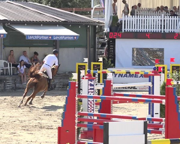Reitturnier Humlikon 2019
