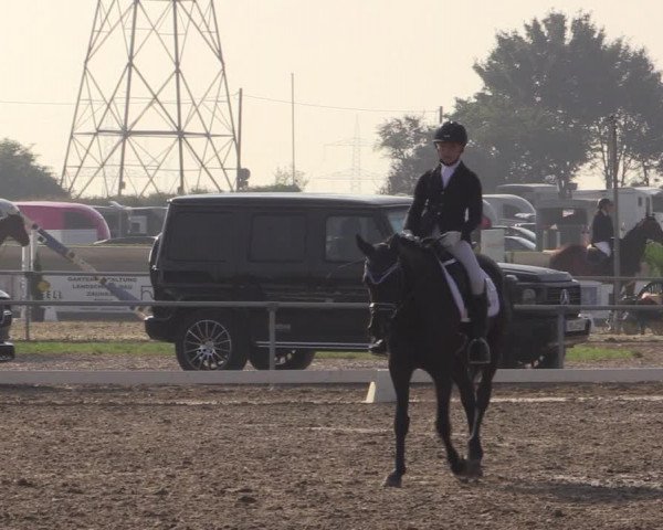 Reitturnier Heinsberg 2019