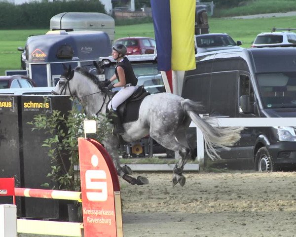 Reitturnier Hauerz 2019
